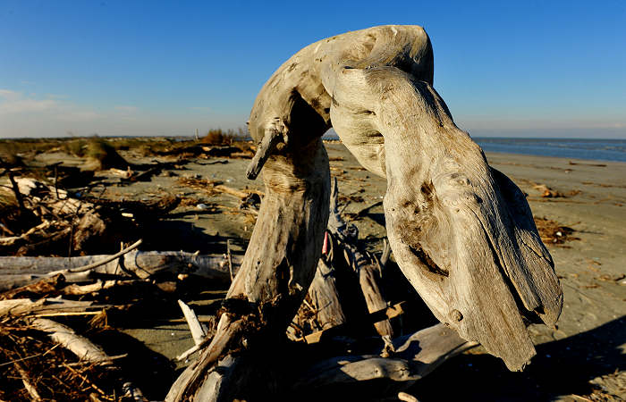 spiaggia di Boccasette alla foce del Po di Maistra, Porto Tolle