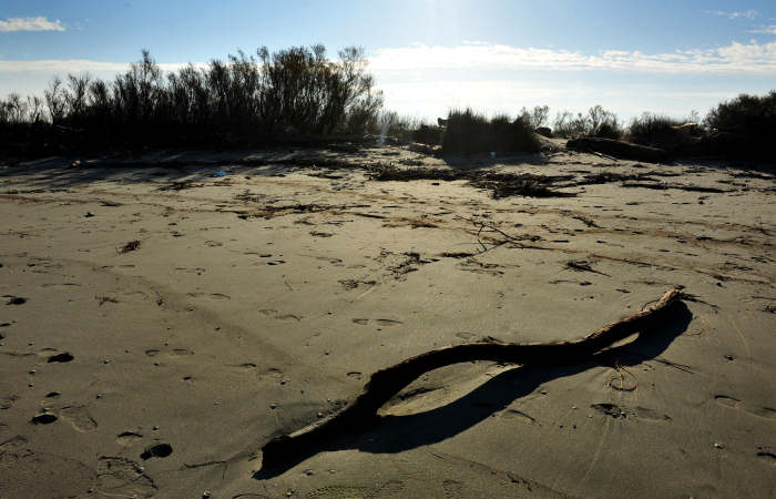spiaggia di Boccasette alla foce del Po di Maistra, Porto Tolle