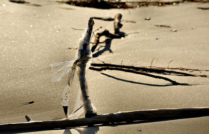 spiaggia di Boccasette alla foce del Po di Maistra, Porto Tolle