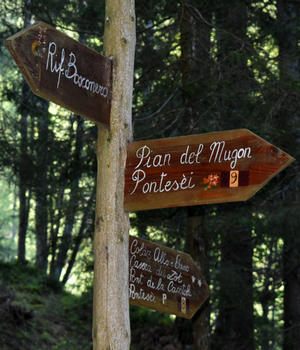 Val di Zoldo - sentiero rifugio Casera Bosconero