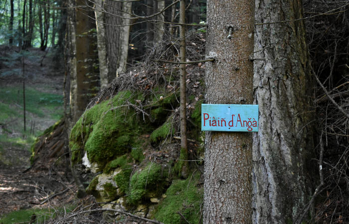 Val di Zoldo - sentiero salita al rifugio Casera Bosconero dal lago di Pontesei