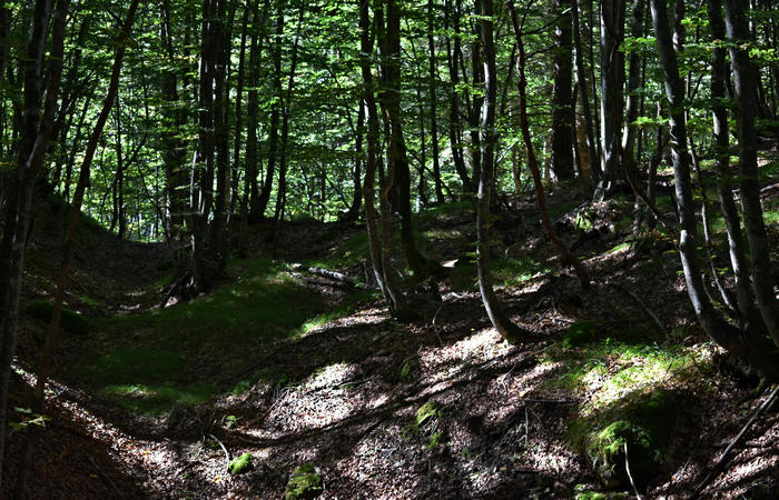 Val di Zoldo - sentiero salita al rifugio Casera Bosconero dal lago di Pontesei
