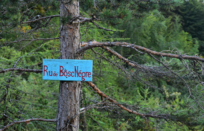 Val di Zoldo - sentiero salita al rifugio Casera Bosconero dal lago di Pontesei