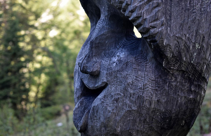 Val di Zoldo - sentiero salita al rifugio Casera Bosconero dal lago di Pontesei