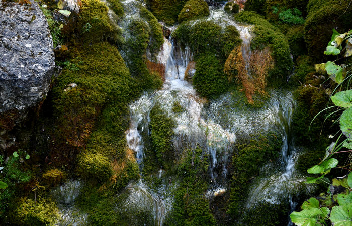 Val di Zoldo - sentiero salita al rifugio Casera Bosconero dal lago di Pontesei
