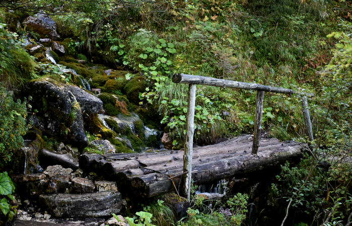 Val di Zoldo - sentiero salita al rifugio Casera Bosconero dal lago di Pontesei