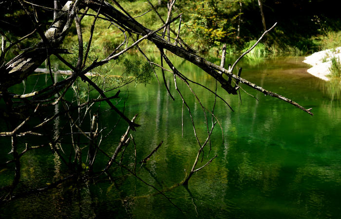 Val di Zoldo - sentiero salita al rifugio Casera Bosconero dal lago di Pontesei