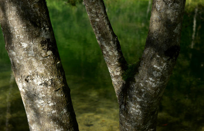Val di Zoldo - sentiero salita al rifugio Casera Bosconero dal lago di Pontesei