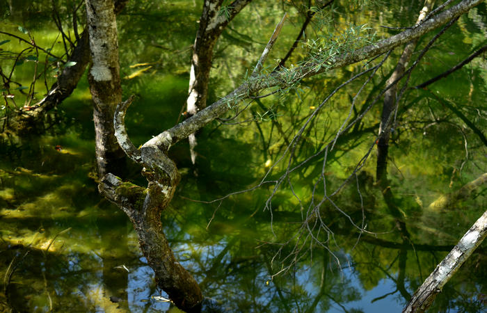Val di Zoldo - sentiero salita al rifugio Casera Bosconero dal lago di Pontesei