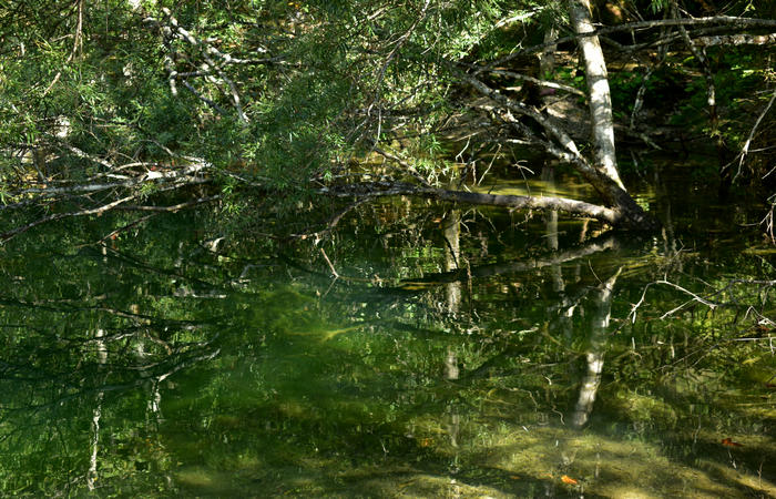 Val di Zoldo - sentiero salita al rifugio Casera Bosconero dal lago di Pontesei