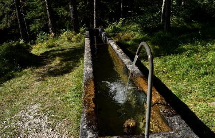 Val di Zoldo - sentiero salita al rifugio Casera Bosconero dal lago di Pontesei