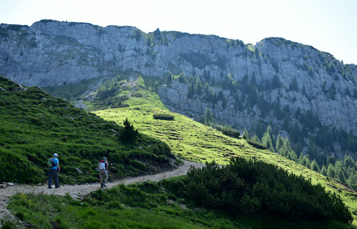 escursione Misurina Col de Varda rif. Citta di Carpi agriturismo malga Maraia, Cadini di Misurina Auronzo Cadore Dolomiti Tre Cime di Lavaredo