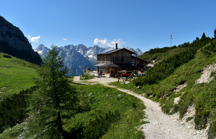escursione Misurina Col de Varda rif. Citta di Carpi agriturismo malga Maraia, Cadini di Misurina Auronzo Cadore Dolomiti Tre Cime di Lavaredo