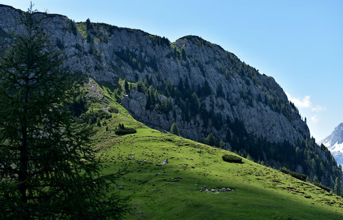 escursione Misurina Col de Varda rif. Citta di Carpi agriturismo malga Maraia, Cadini di Misurina Auronzo Cadore Dolomiti Tre Cime di Lavaredo