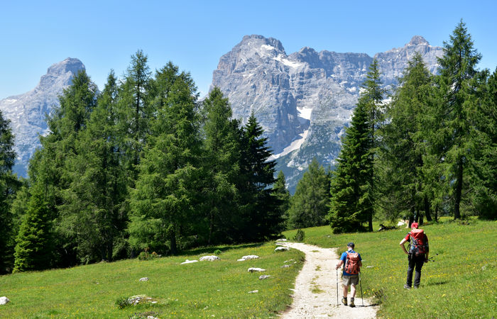 escursione Misurina Col de Varda rif. Citta di Carpi agriturismo malga Maraia, Cadini di Misurina Auronzo Cadore Dolomiti Tre Cime di Lavaredo