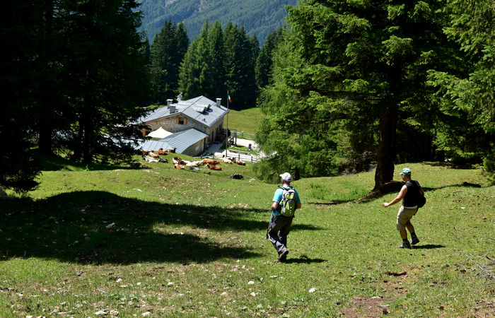 escursione Misurina Col de Varda rif. Citta di Carpi agriturismo malga Maraia, Cadini di Misurina Auronzo Cadore Dolomiti Tre Cime di Lavaredo