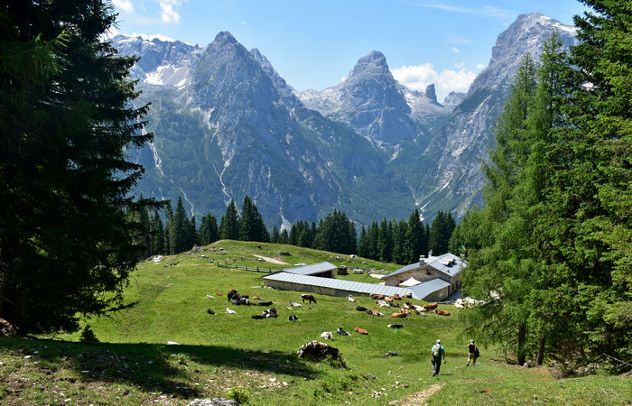 escursione Misurina Col de Varda rif. Citta di Carpi agriturismo malga Maraia, Cadini di Misurina Auronzo Cadore Dolomiti Tre Cime di Lavaredo