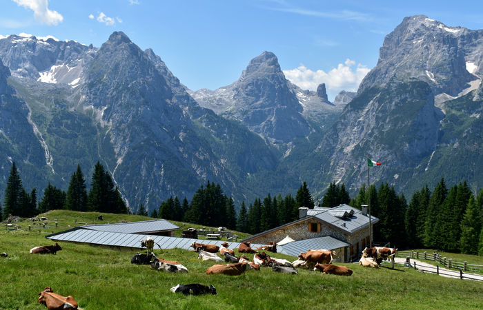 escursione Misurina Col de Varda rif. Citta di Carpi agriturismo malga Maraia, Cadini di Misurina Auronzo Cadore Dolomiti Tre Cime di Lavaredo
