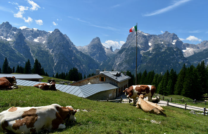 escursione Misurina Col de Varda rif. Citta di Carpi agriturismo malga Maraia, Cadini di Misurina Auronzo Cadore Dolomiti Tre Cime di Lavaredo