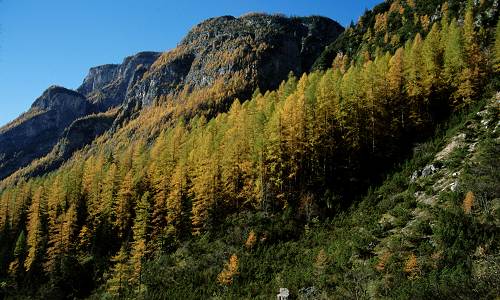 Civetta - Val Corpassa