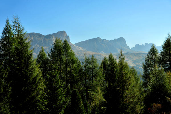 Col di Lana, Sief, Federe - Livinallongo Fodom