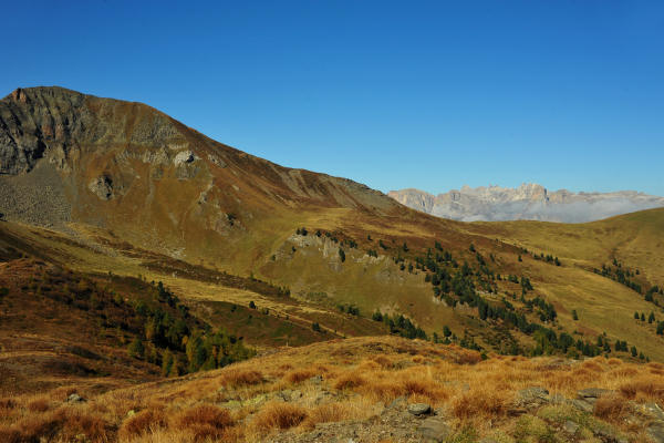Col di Lana, Sief, Federe - Livinallongo Fodom