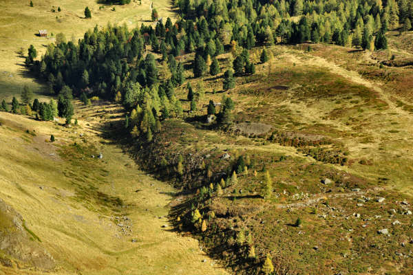Col di Lana, Sief, Federe - Livinallongo Fodom