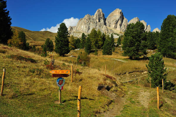 Col di Lana, Sief, Federe - Livinallongo Fodom