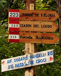 Dolomiti, Sorapiss Faloria