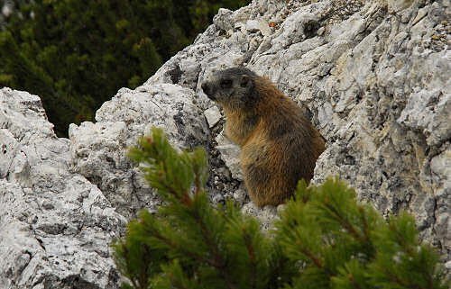 passo di Valparola, Cortina d'Ampezzo