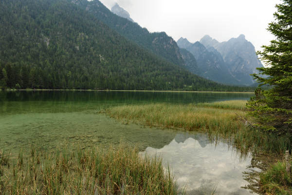ToblacherSee, Lago di Dobbiaco