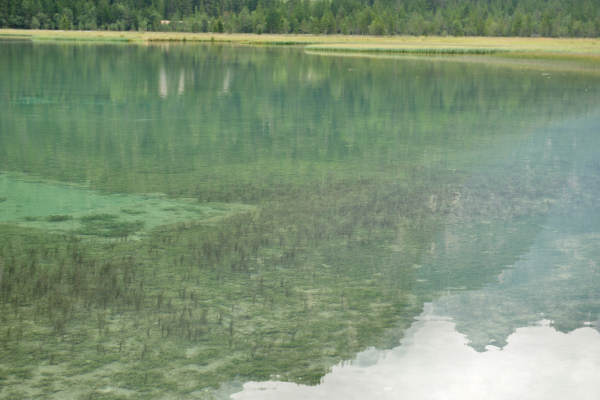 ToblacherSee, Lago di Dobbiaco