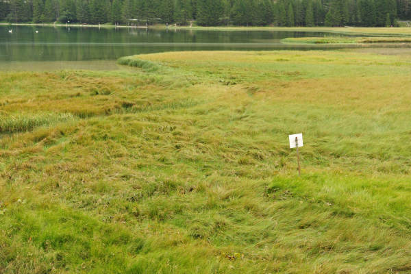 ToblacherSee, Lago di Dobbiaco