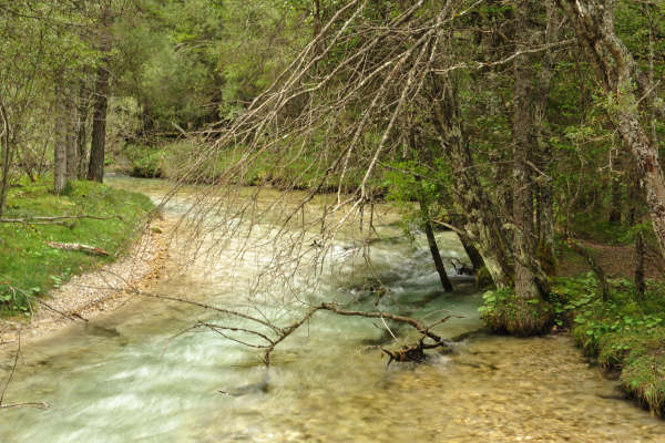 ToblacherSee, Lago di Dobbiaco