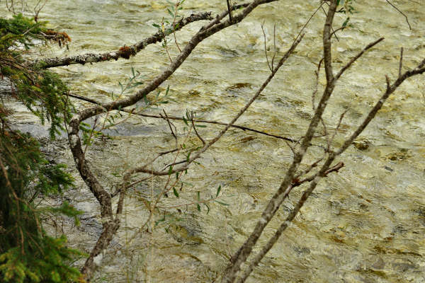 ToblacherSee, Lago di Dobbiaco