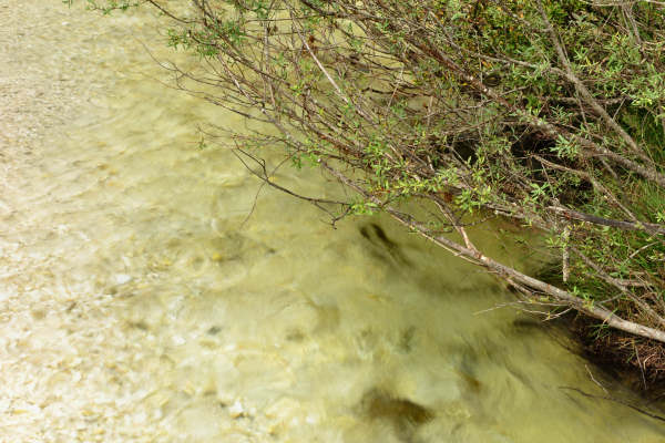 ToblacherSee, Lago di Dobbiaco