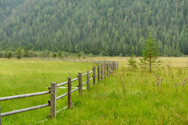 ToblacherSee, Lago di Dobbiaco