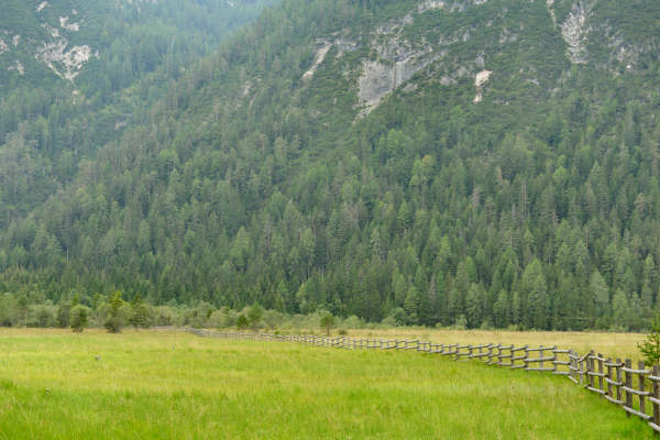 ToblacherSee, Lago di Dobbiaco