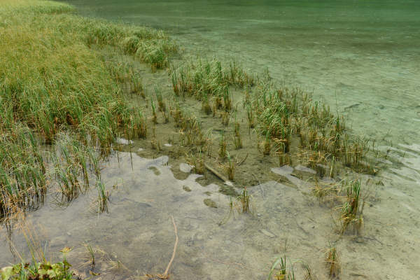 ToblacherSee, Lago di Dobbiaco