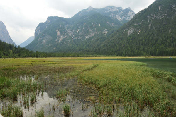 ToblacherSee, Lago di Dobbiaco