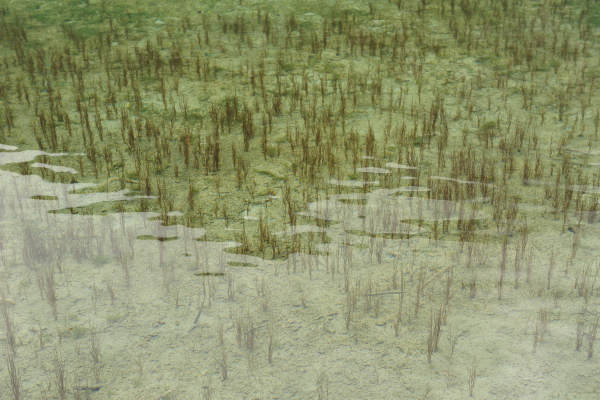 ToblacherSee, Lago di Dobbiaco