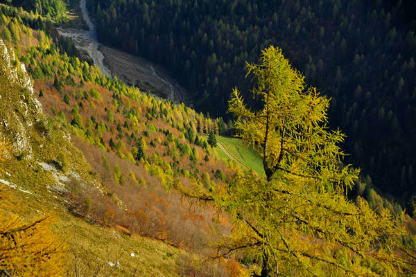 escursione in Val Zemola, Cava Buscada casera Bedin rifugio Maniago al Duranno
