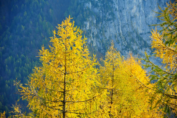 escursione in Val Zemola, Cava Buscada casera Bedin rifugio Maniago al Duranno