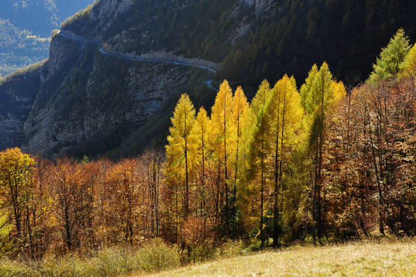 escursione in Val Zemola, Cava Buscada casera Bedin rifugio Maniago al Duranno