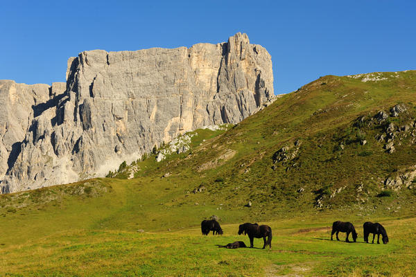 dai pressi del rifugio Nuvolau panorama sulle Dolomiti