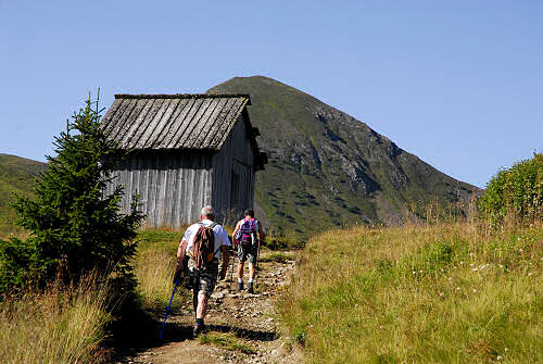 salita al monte Pore da Fedare, strada del passo Giau, Colle Santa Lucia