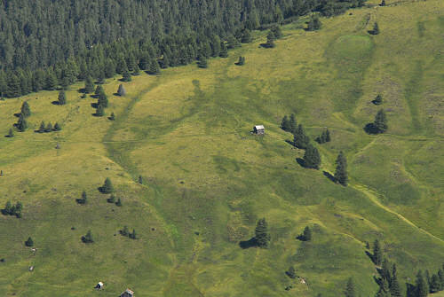 salita al monte Pore da Fedare, strada del passo Giau, Colle Santa Lucia
