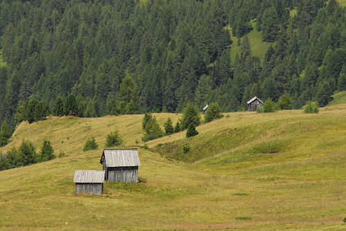 salita al monte Pore da Fedare, strada del passo Giau, Colle Santa Lucia