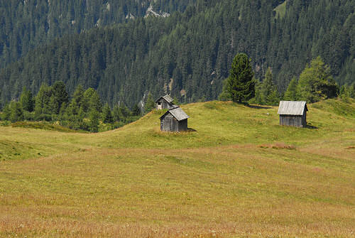 salita al monte Pore da Fedare, strada del passo Giau, Colle Santa Lucia