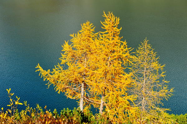 lago di Fedaia e ghiacciaio della Marmolada